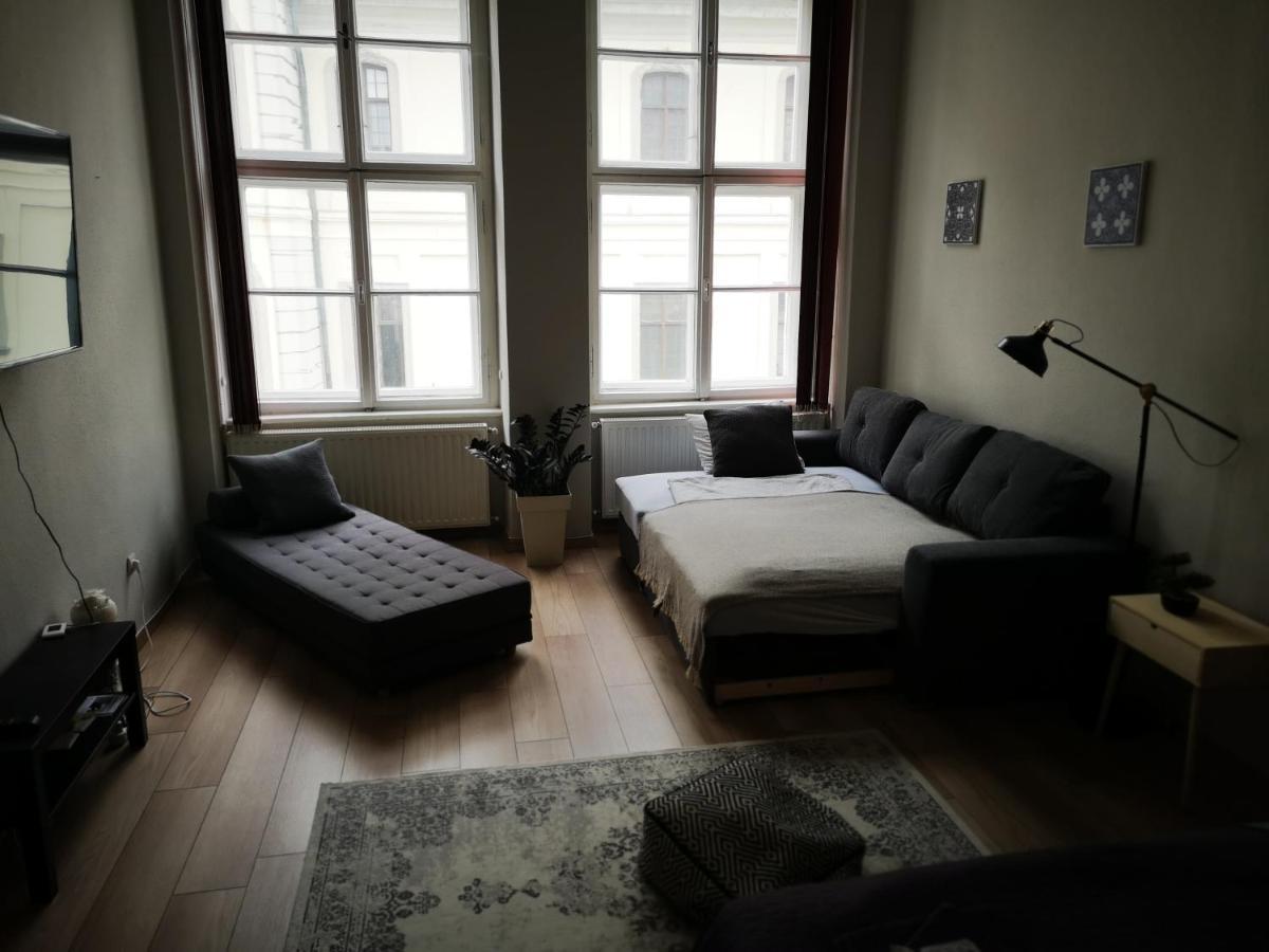 Palace - Belvarosi Apartman เอ็กเกอร์ ภายนอก รูปภาพ