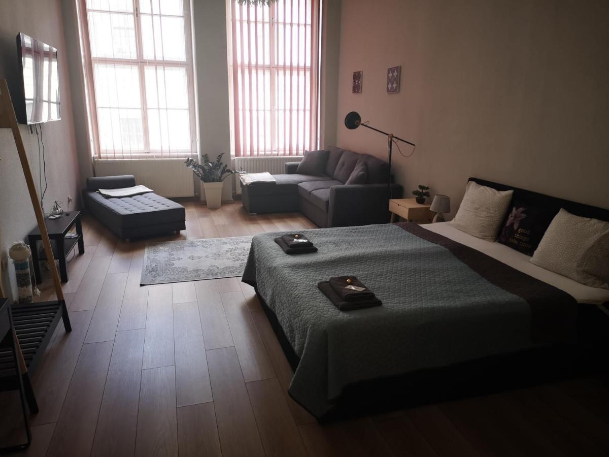 Palace - Belvarosi Apartman เอ็กเกอร์ ภายนอก รูปภาพ